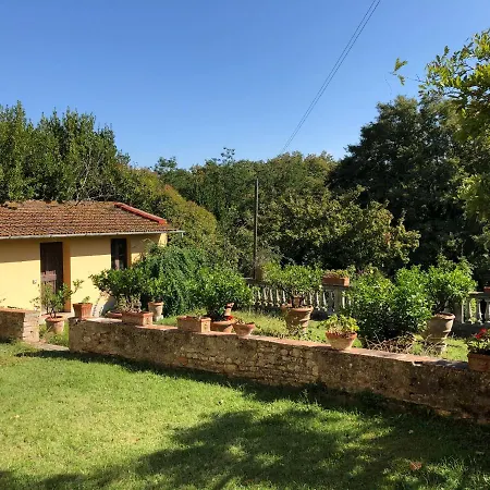 Di Castagneto Empoli